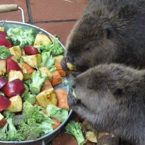 Meet your Posher, Stefanie